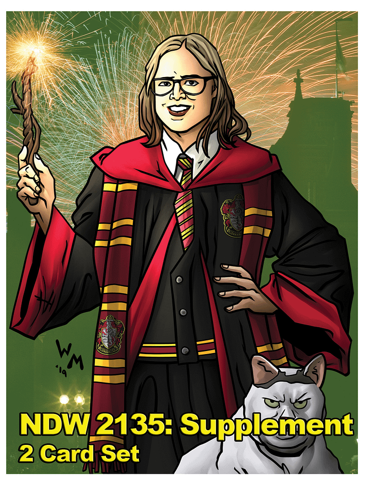 NDW 2135: Supplemental Pack - Game Cards product image (1)