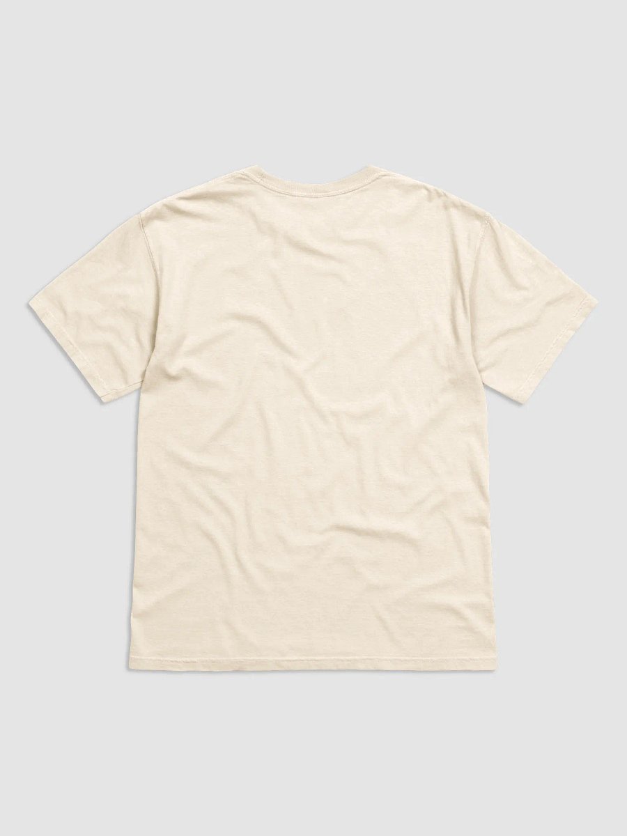 ZIONIST Dove Graphic Tee product image (2)