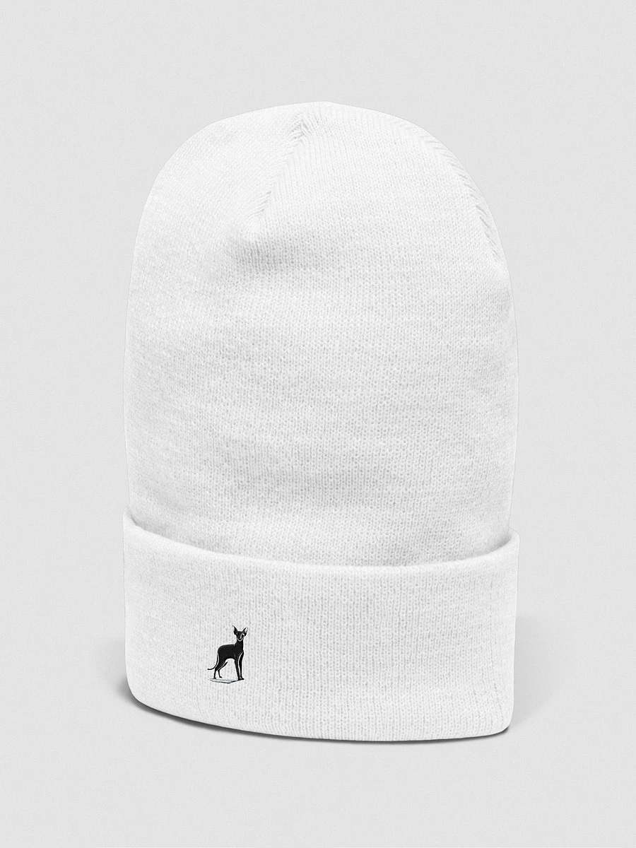 Yupoong Cuffed Beanie: Abyssinian product image (43)