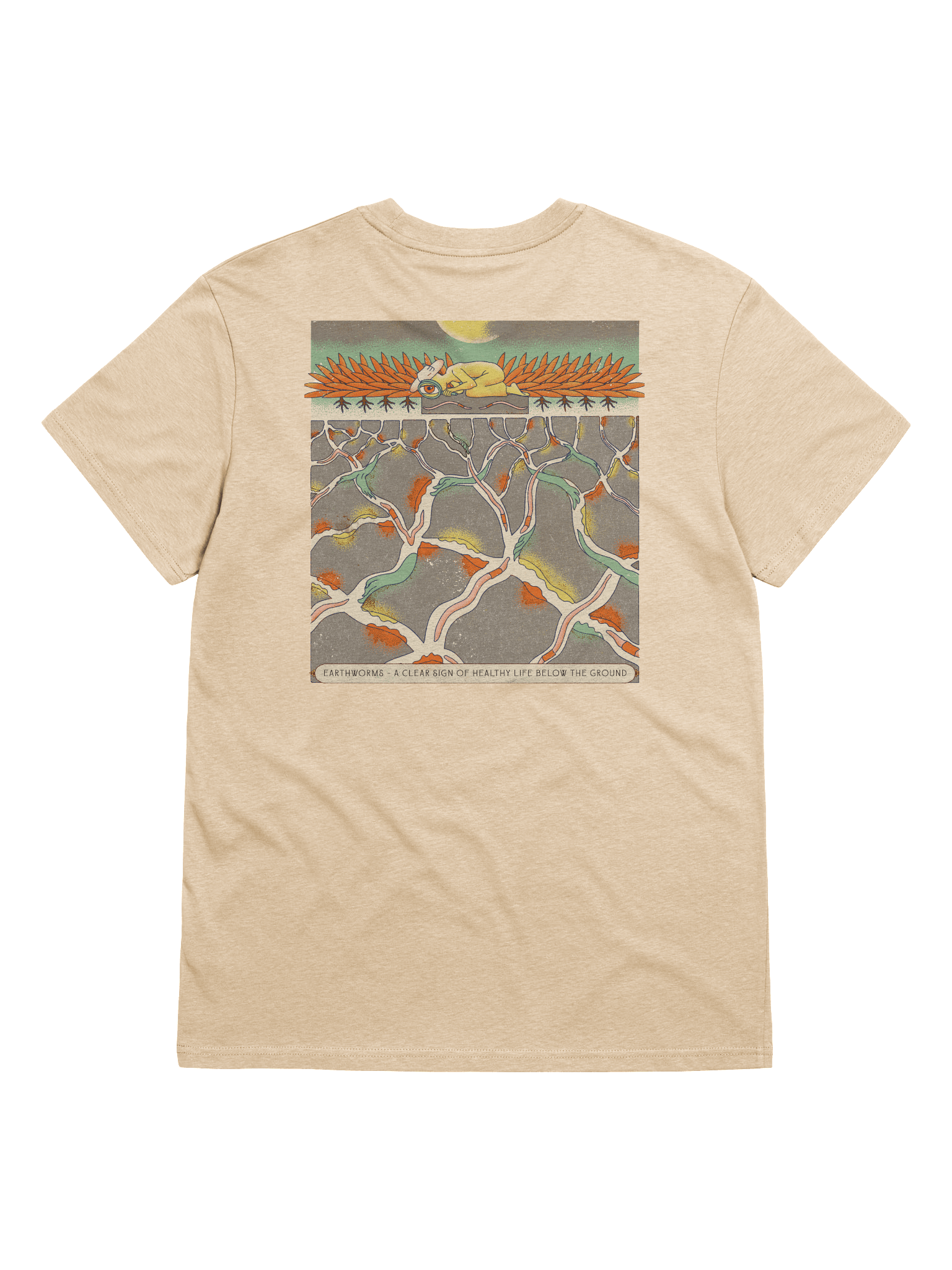 Searching for worms (light colours) product image (12)