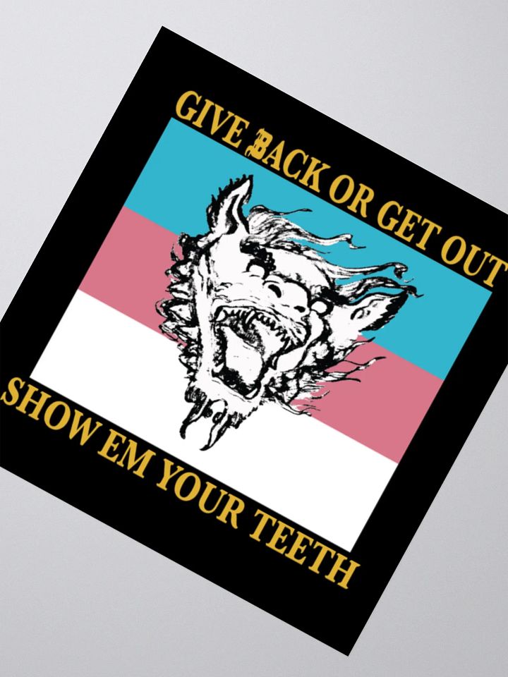 S.E.Y.T. flag sticker product image (2)