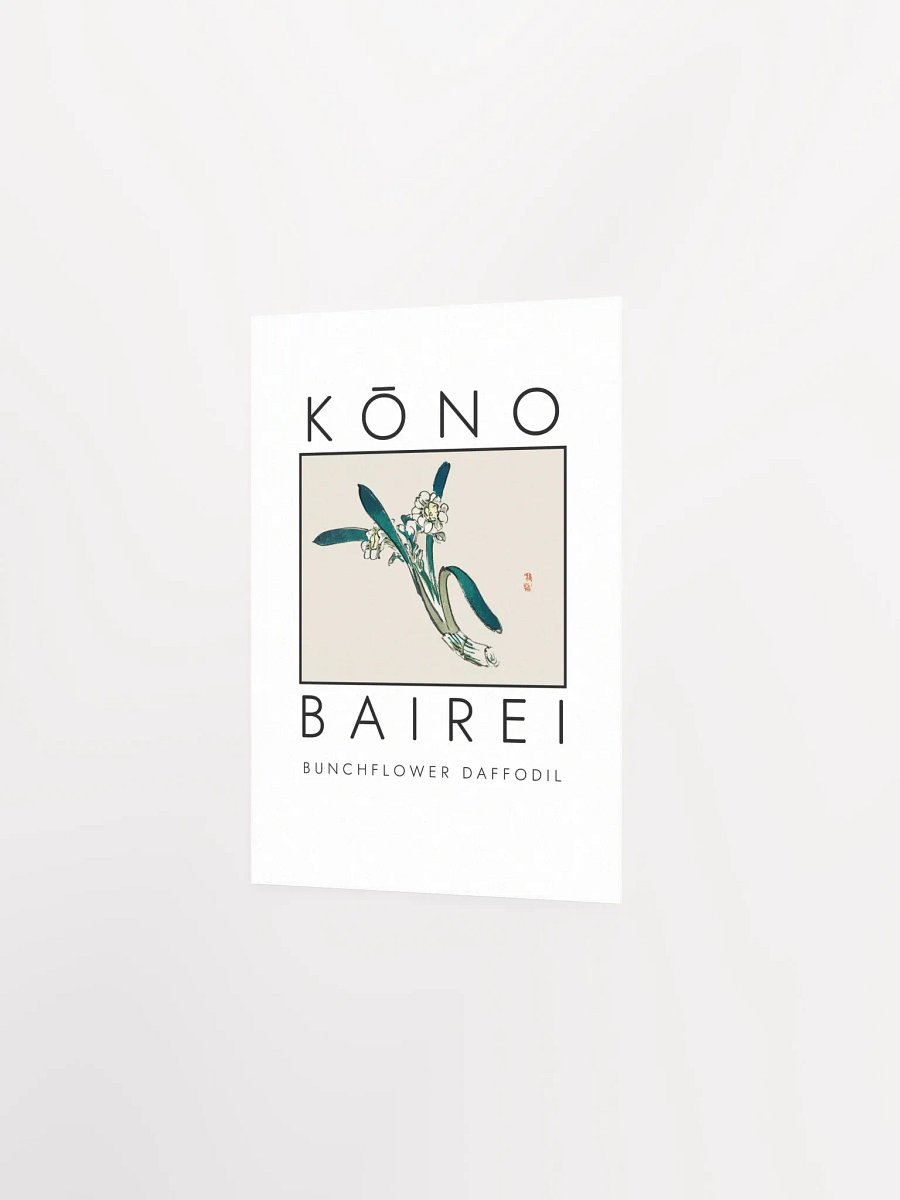Kono Bairei Bunchflower Daffodil Poster product image (3)