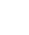 VIBEFEST