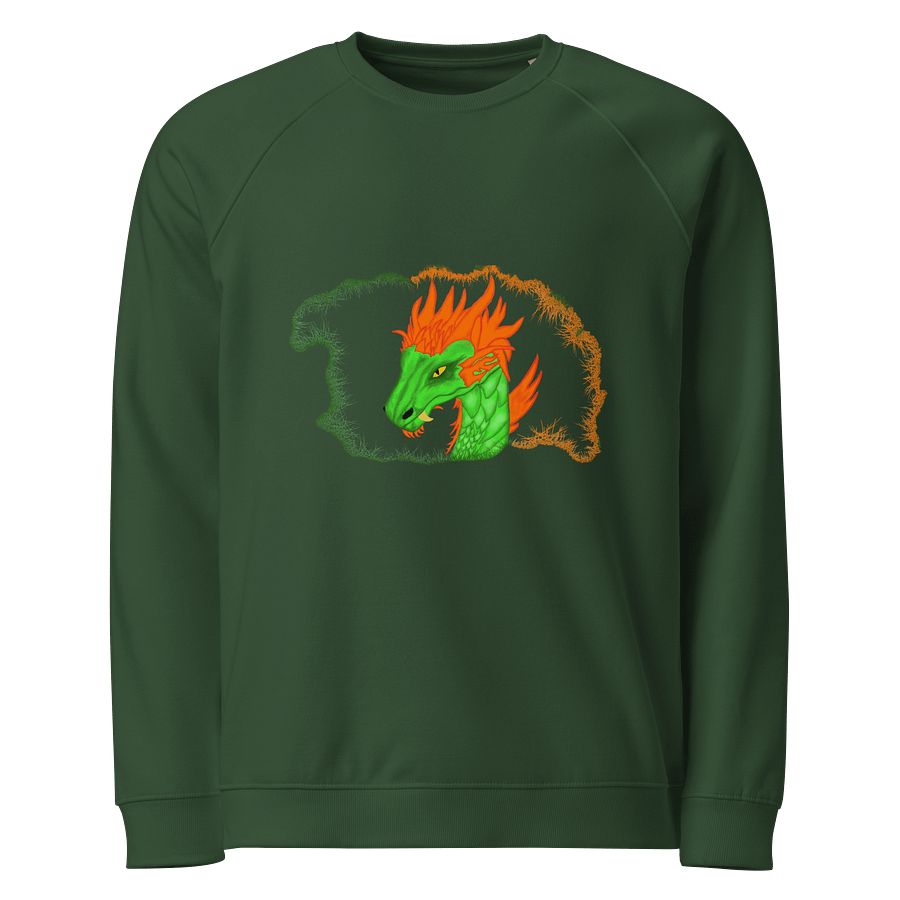 Dragonfire Unisex Raglan Sweatshirt product image (1)