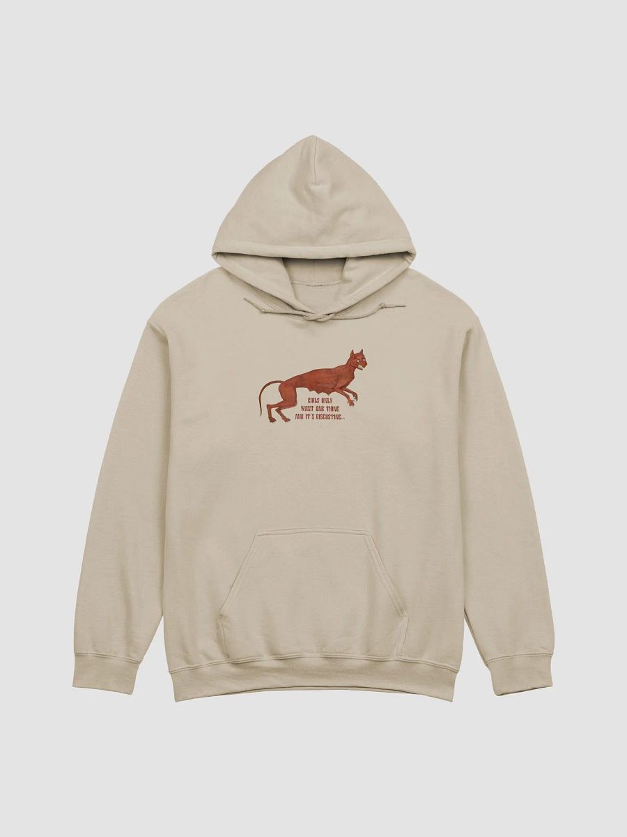 'Girls Only Want One Thing And It's Disgusting...' Hoodie (9 colour options available) product image (1)