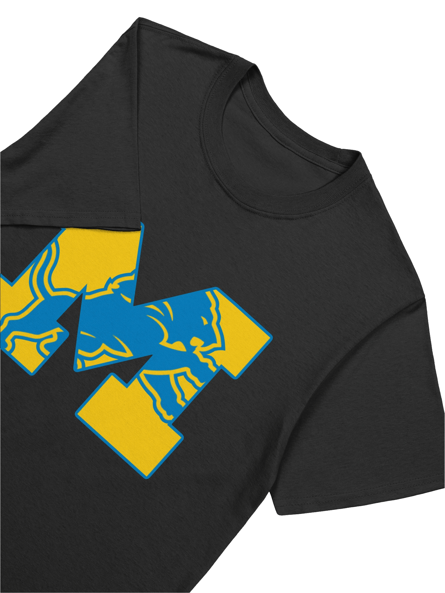 Michigan Lions product image (30)