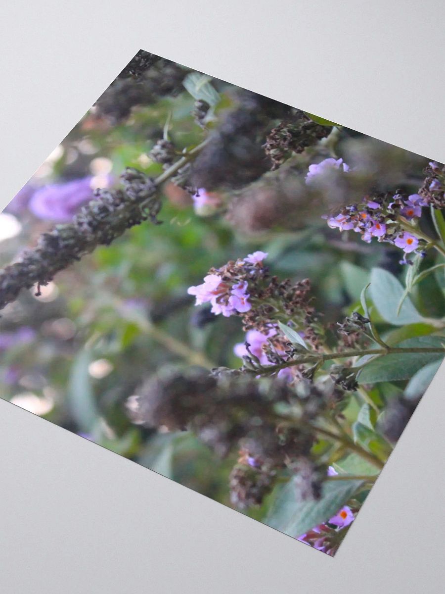 A Study in Flowers 6 - sticker version product image (7)
