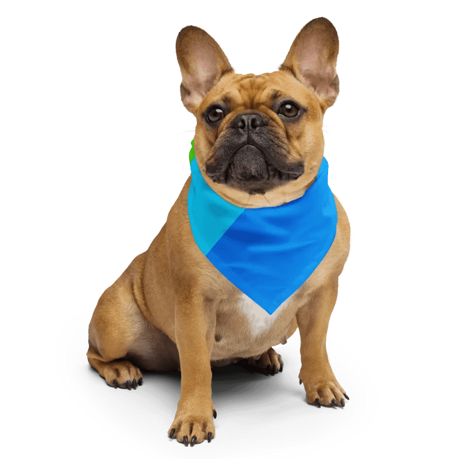 ItzDannK Classic Bandana product image (6)