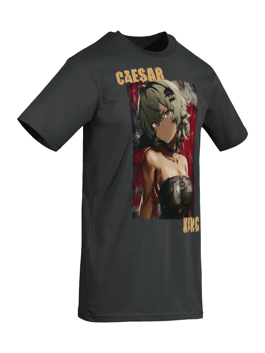 HAIL TO THE KING! Caesar King Cotton Premium Heavyweight Tee product image (45)