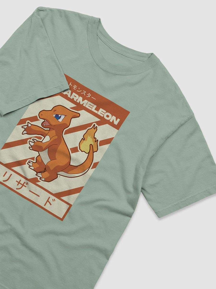 Charmeleon Vintage Japanese Poster Design product image (29)