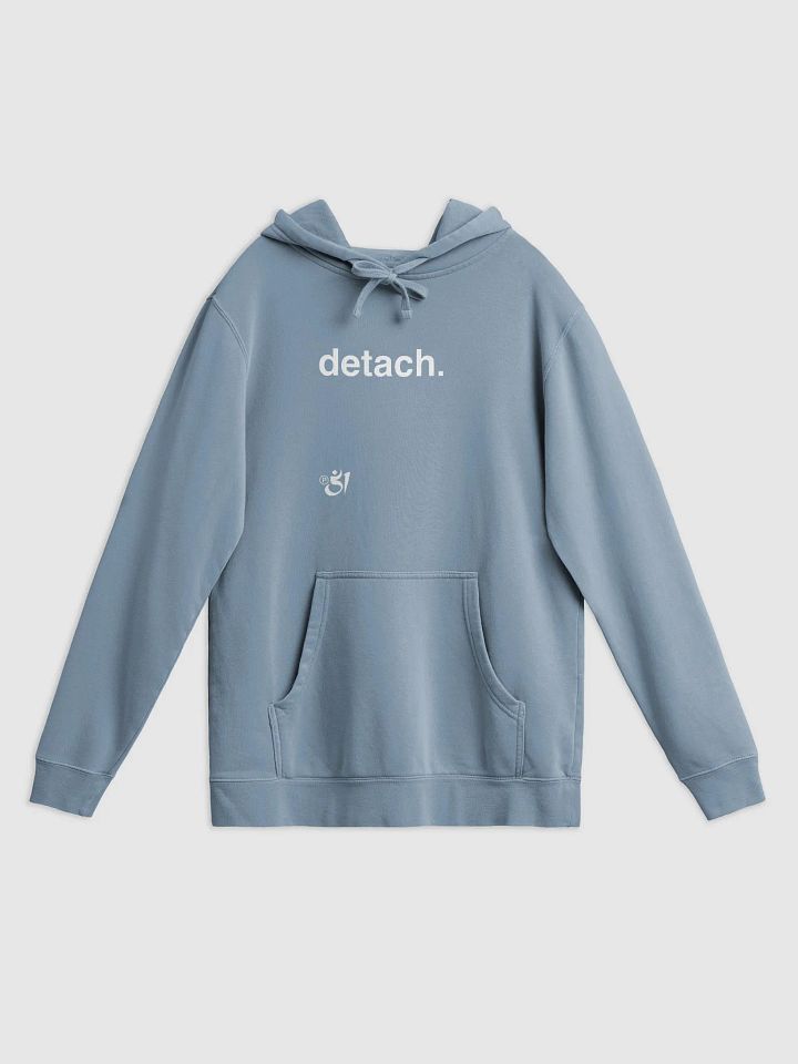 detach. hoodie product image (1)