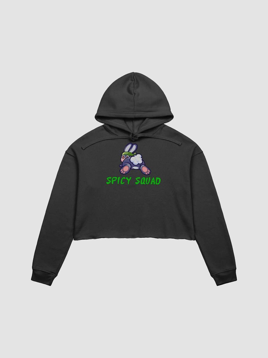 Spicy Squad Crop Hoodie product image (1)