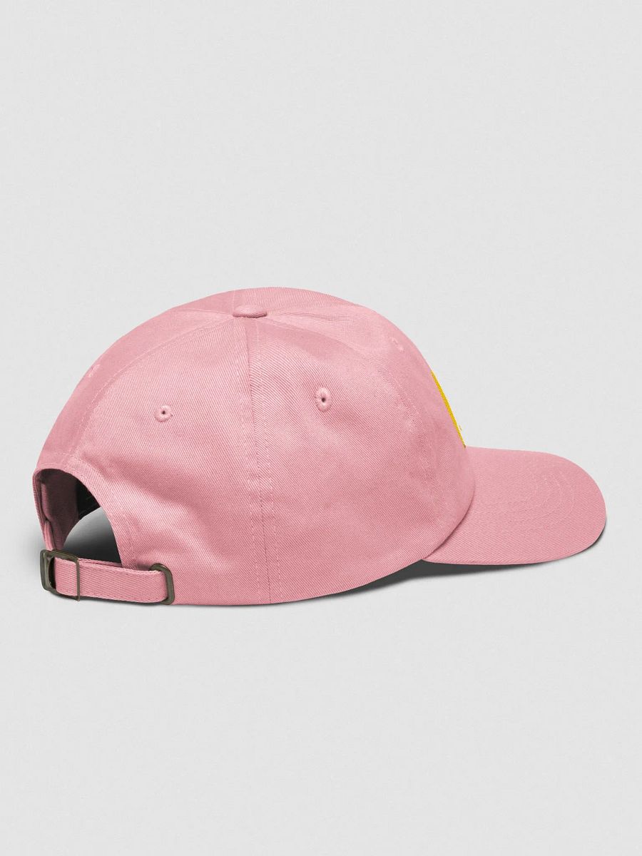 Nonpolar Nonbinary Pride Flag - Embroidered Hat product image (4)