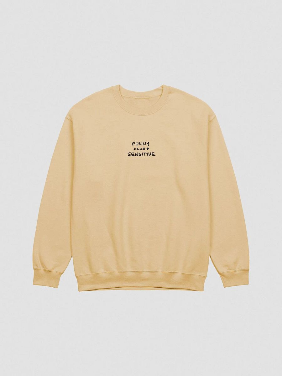 FUNNY *and* SENSITIVE embroidered crewneck product image (3)