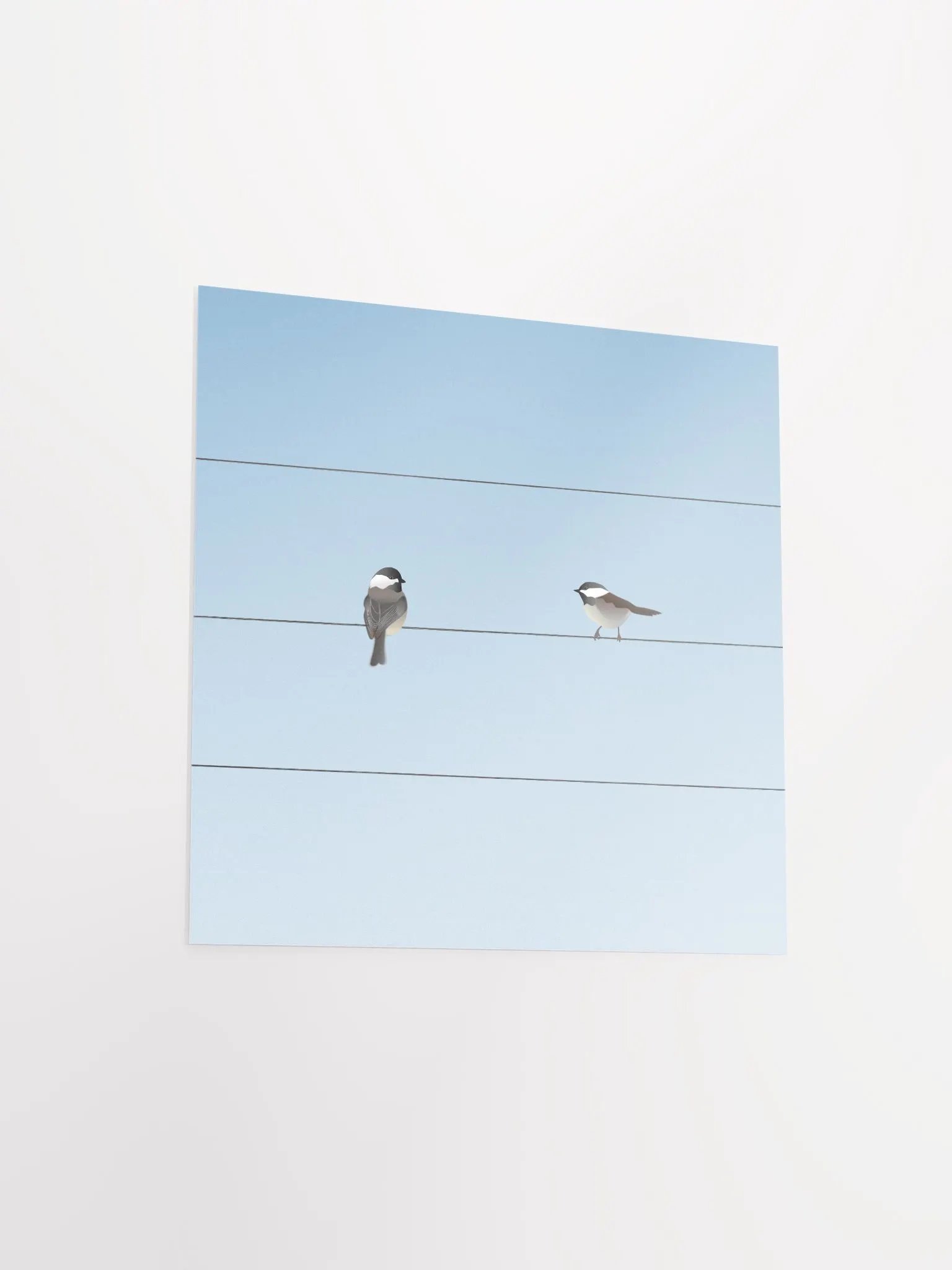 Two Birds on a Wire product image (3)