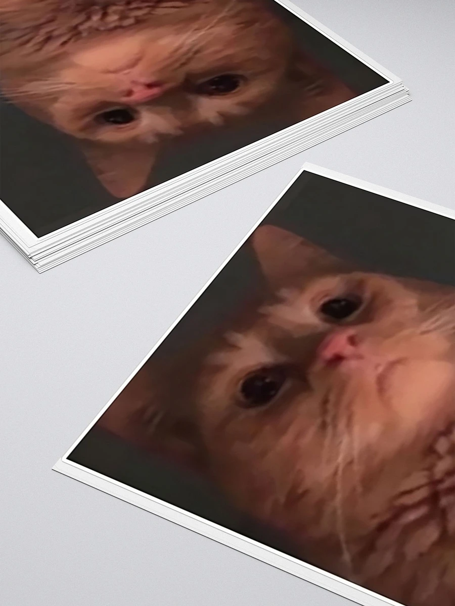 Kiss Cut Stickers: Meme Cats pathetic product image (4)