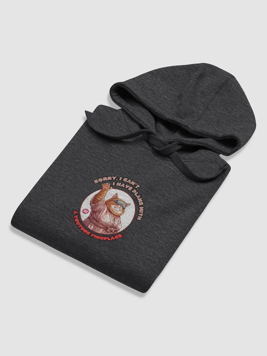 Cozy Cat - Sorry, I can't. I Have Plans With a YouTube Fireplace | Hoodie product image (4)