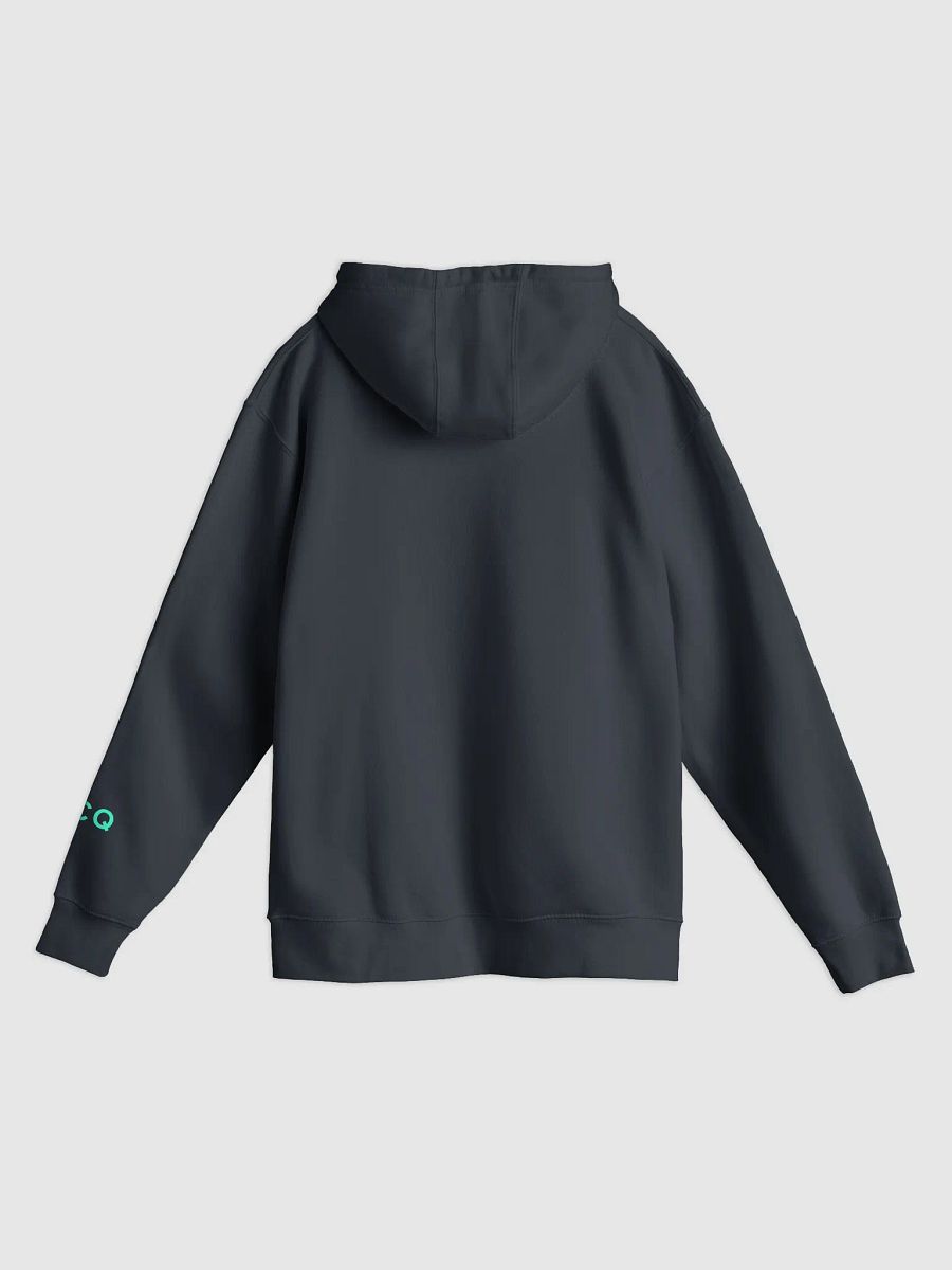 Benchmark Hoodie product image (2)