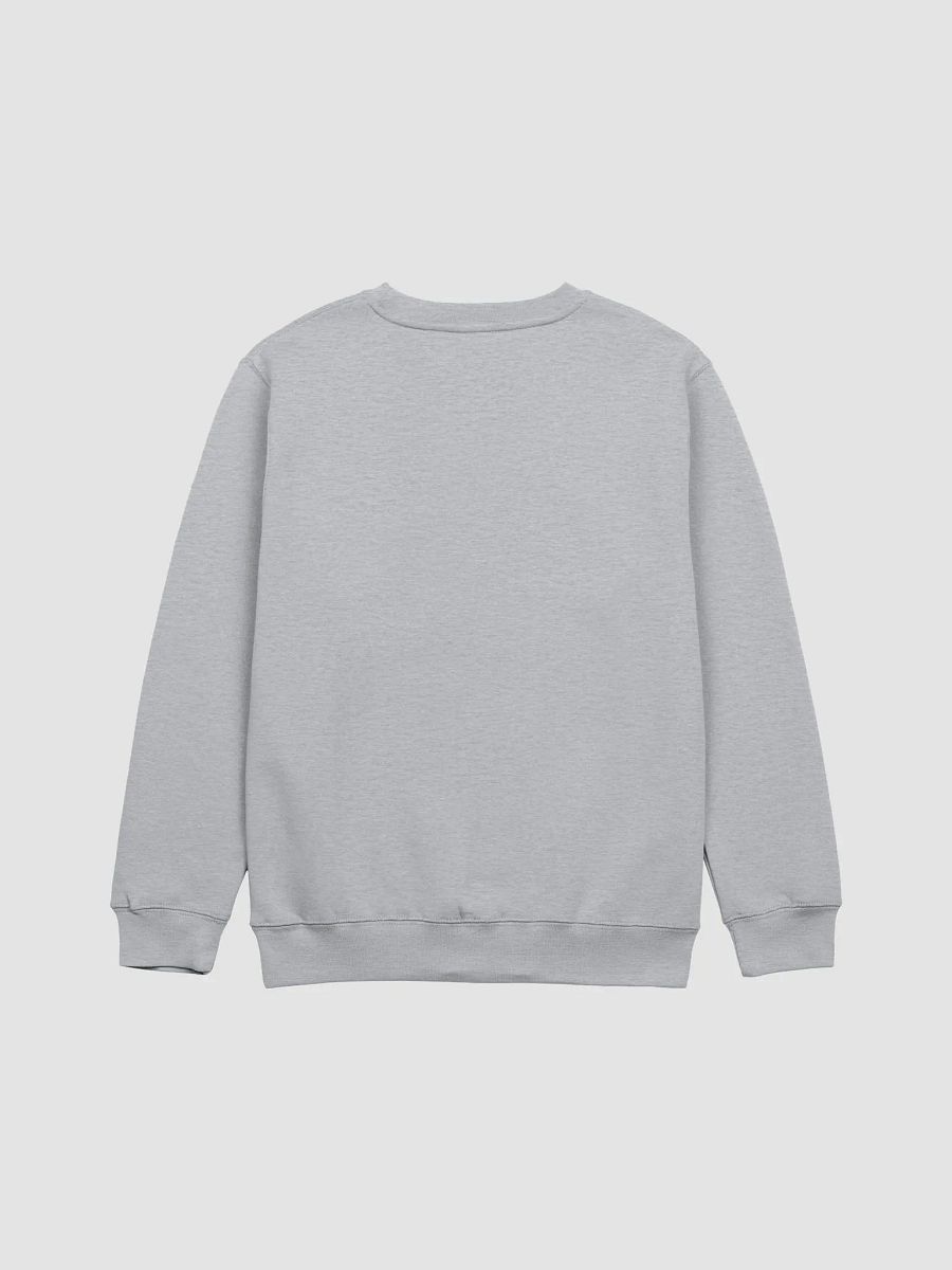 WHAT ARE YOUR PRONOUNS AND SEXUALITY!? - light sweatshirt product image (2)