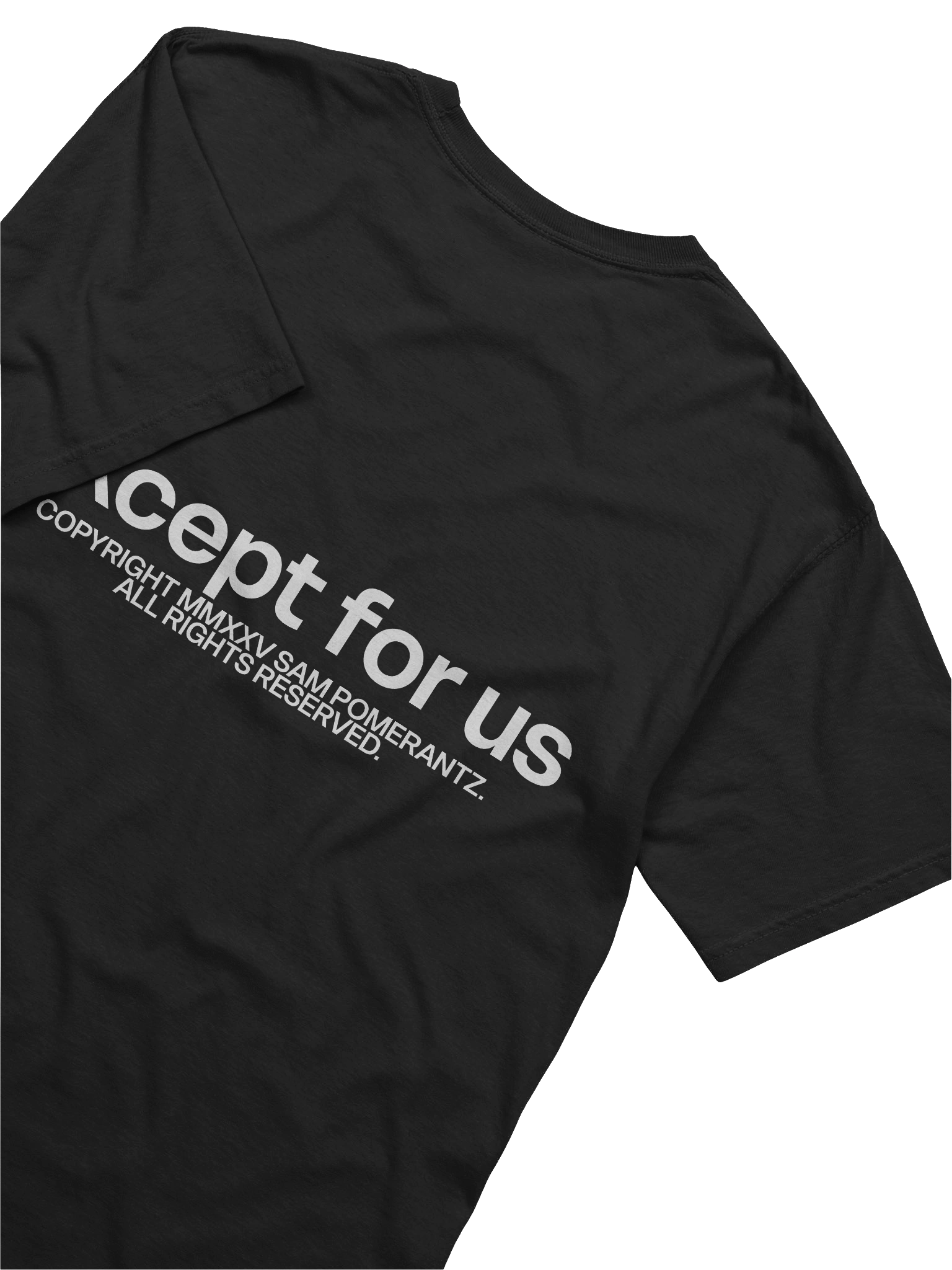 Except For Us Threshold Tee product image (4)