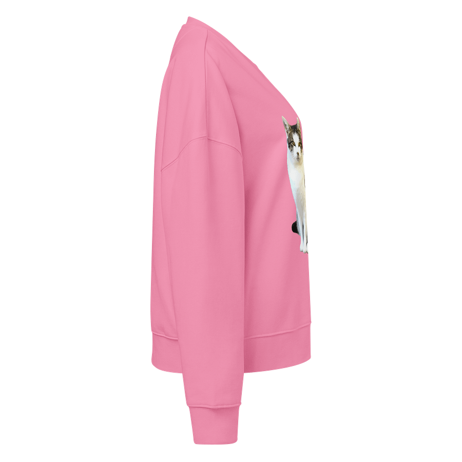 Tabby Dreams Organic Sweatshirt product image (4)