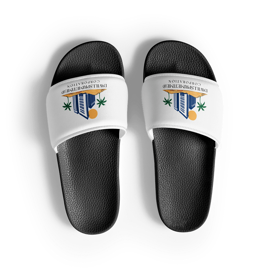 Dwillsprimetime Corporation Women's Slides product image (3)