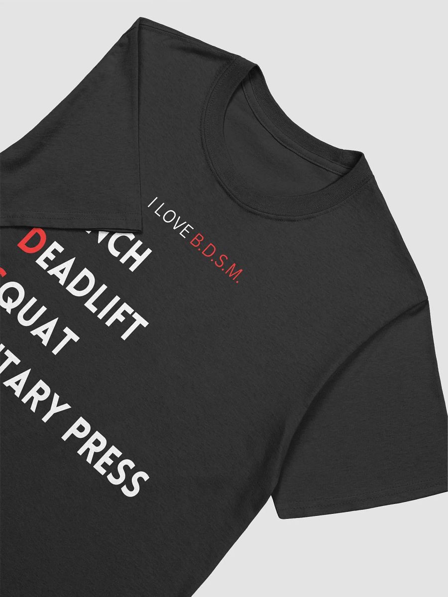 B.D.S.M. T-shirt(Black edition) product image (3)