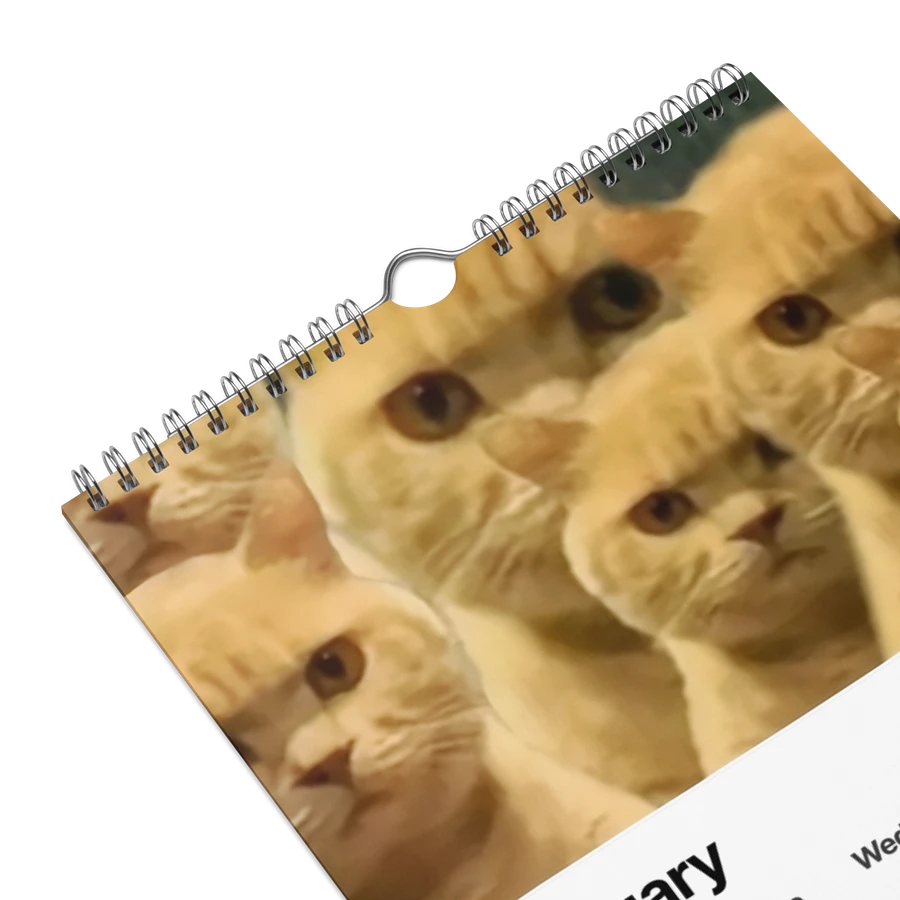 Wall Calendar (2024): Meme Cats product image (9)