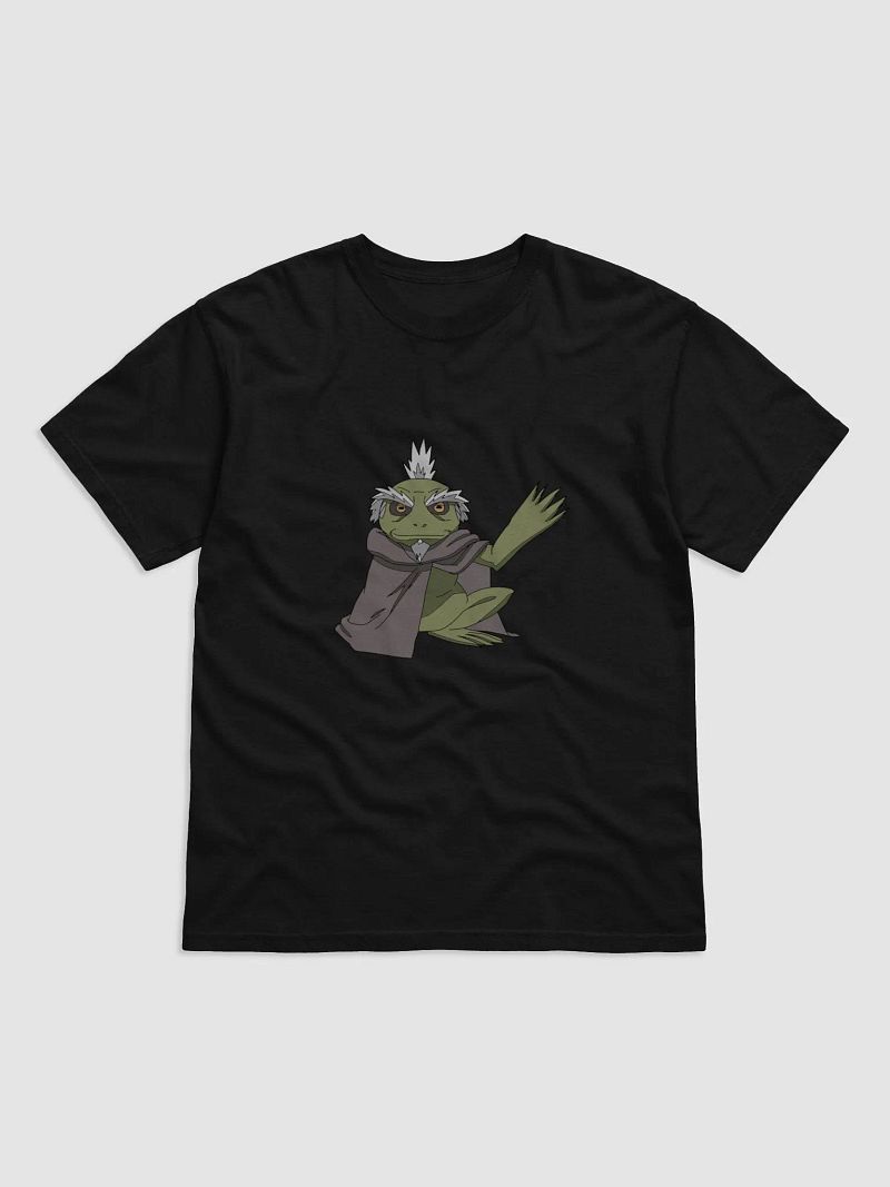 Toad Sage Successor