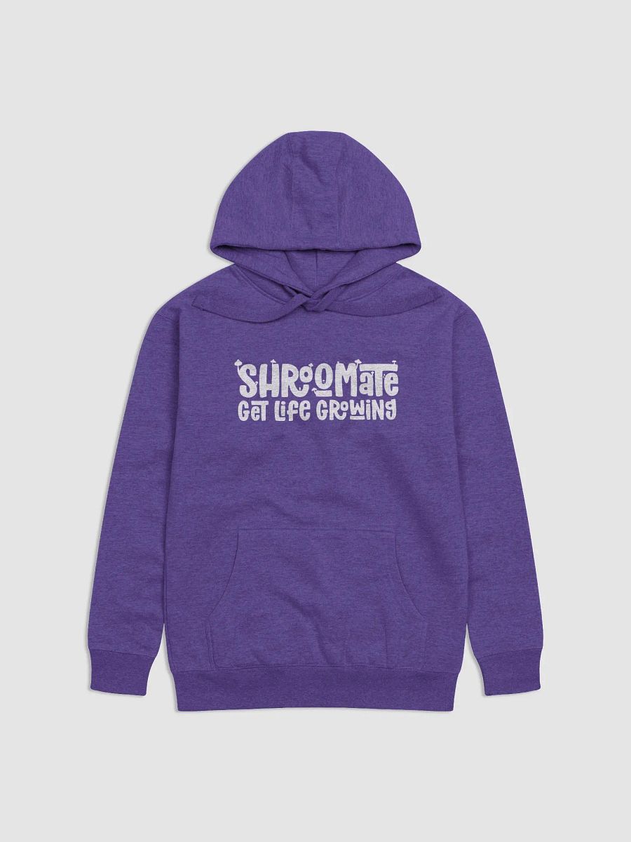 Classic Brand Hoodie product image (1)
