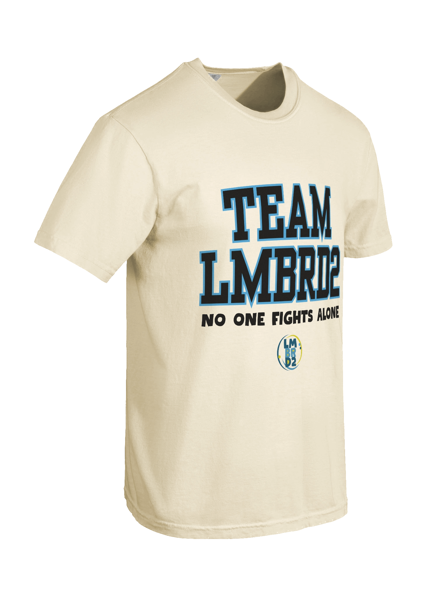 LMBRD2 Comfort T-Shirt -TEAM product image (42)