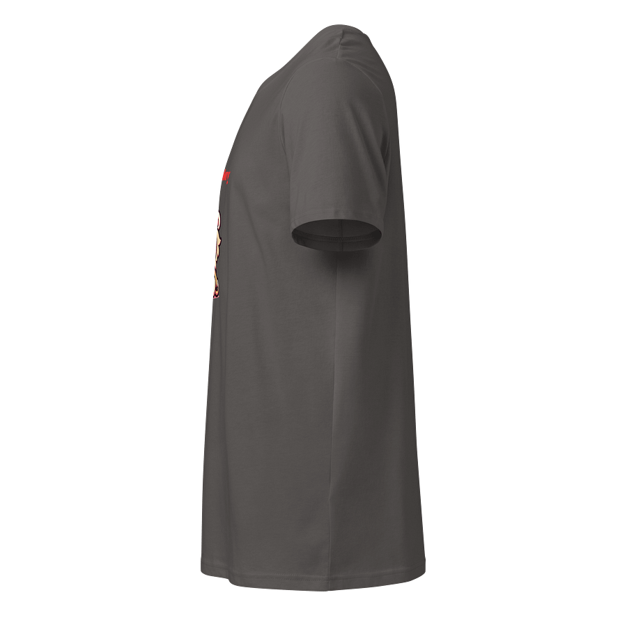 Family Friendly - T-Shirt product image (13)