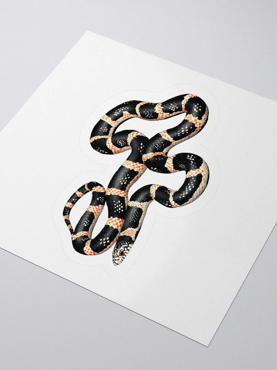Die-Cut Sticker – Longnosed Snake product image (3)