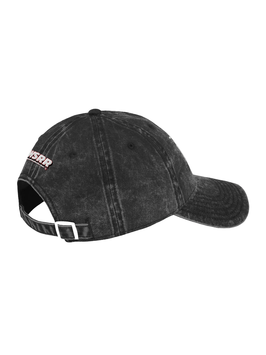 Vintage Pigeon Hole Dad Hat product image (14)