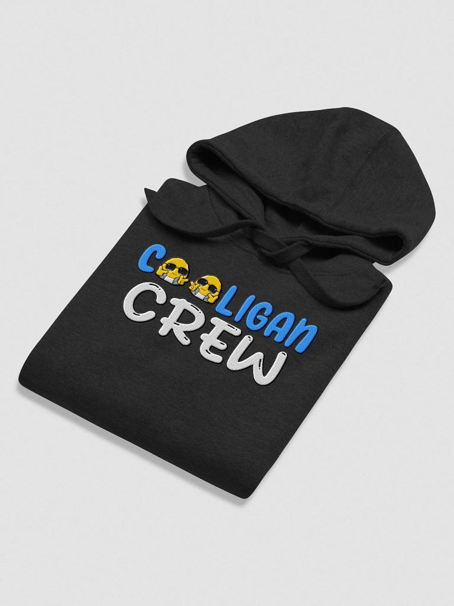 Liz XP Cooligan Crew Embroidered Hoodie product image (4)