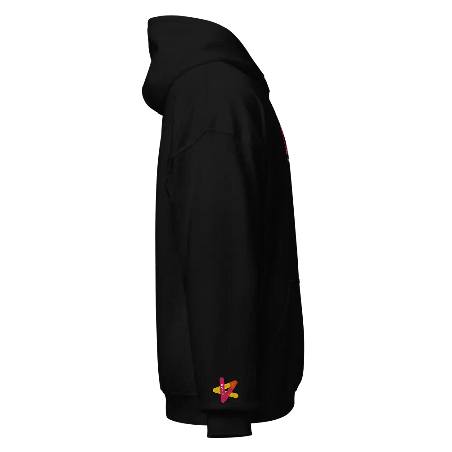 DAGWorks-Hamilton-Burr Hoodie product image (4)