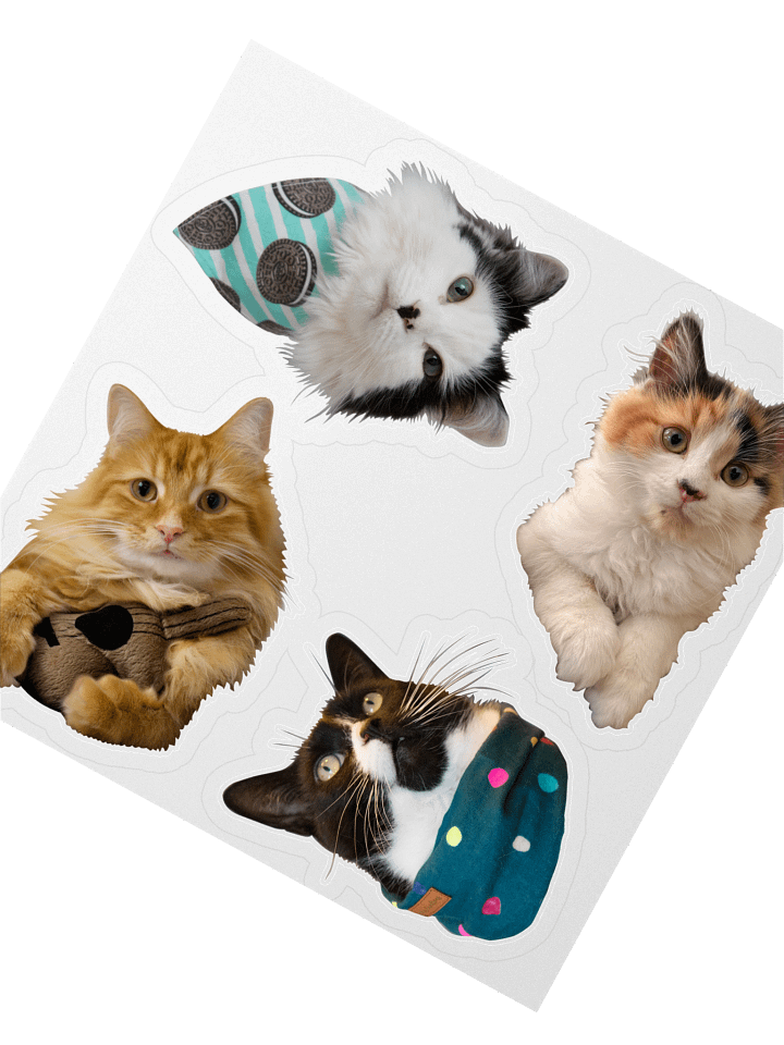 TOC Pattern Large Stickers product image (2)