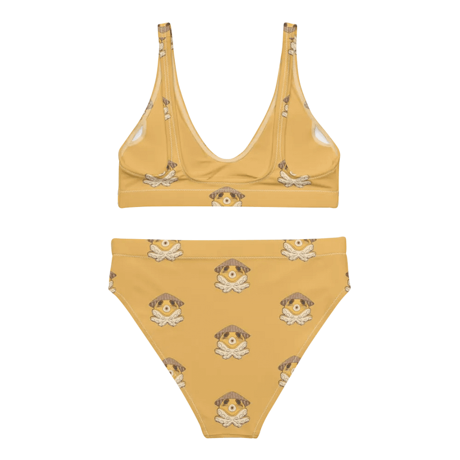 Nana High Waist Bikini Set product image (2)