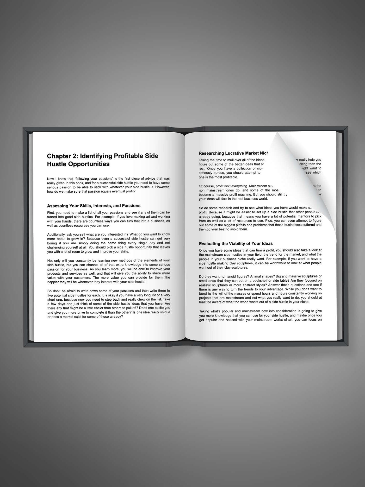 The Side Hustlers Blueprint product image (2)