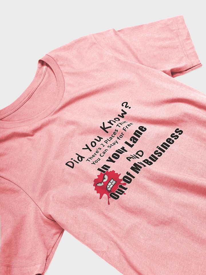 Did You Know T-shirt product image (2)