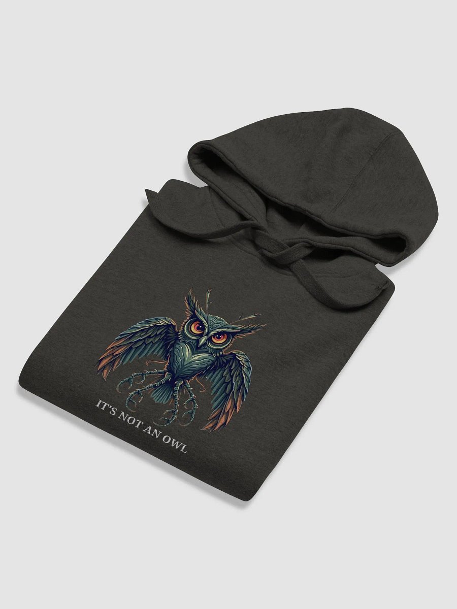 'IT'S NOT AN Owl' ALIEN T-Shirt Unisex Hoodie product image (4)