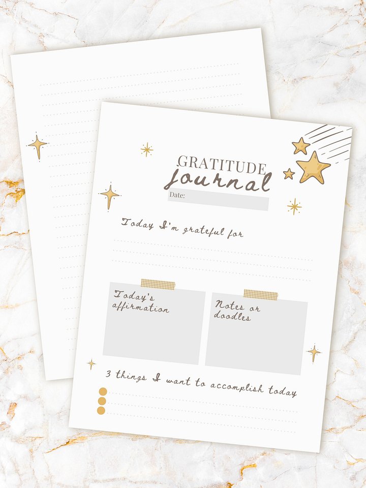 Daily Gratitude Journal Printable product image (2)
