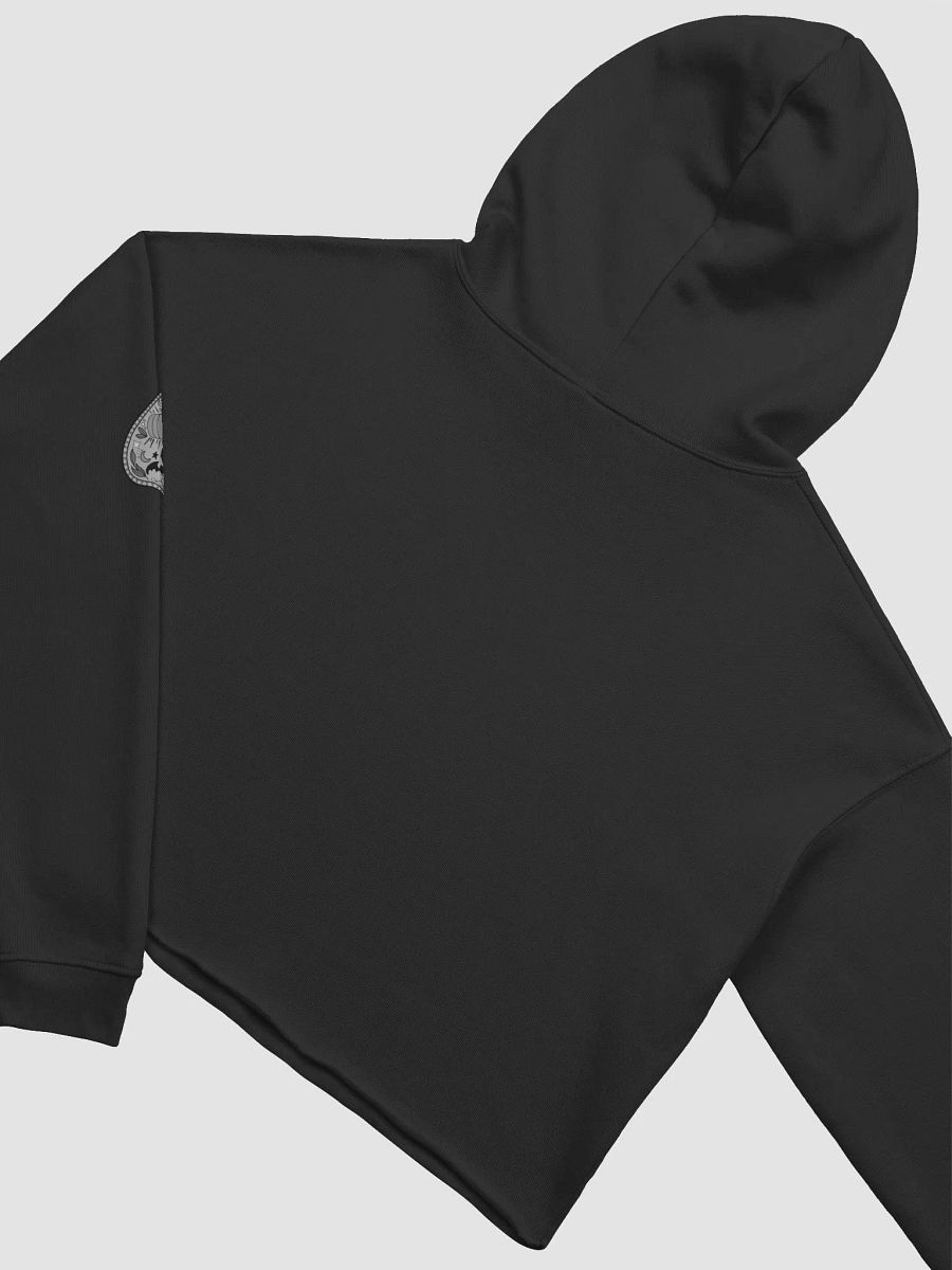 Pumpknnn planchette cropped hoodie product image (4)