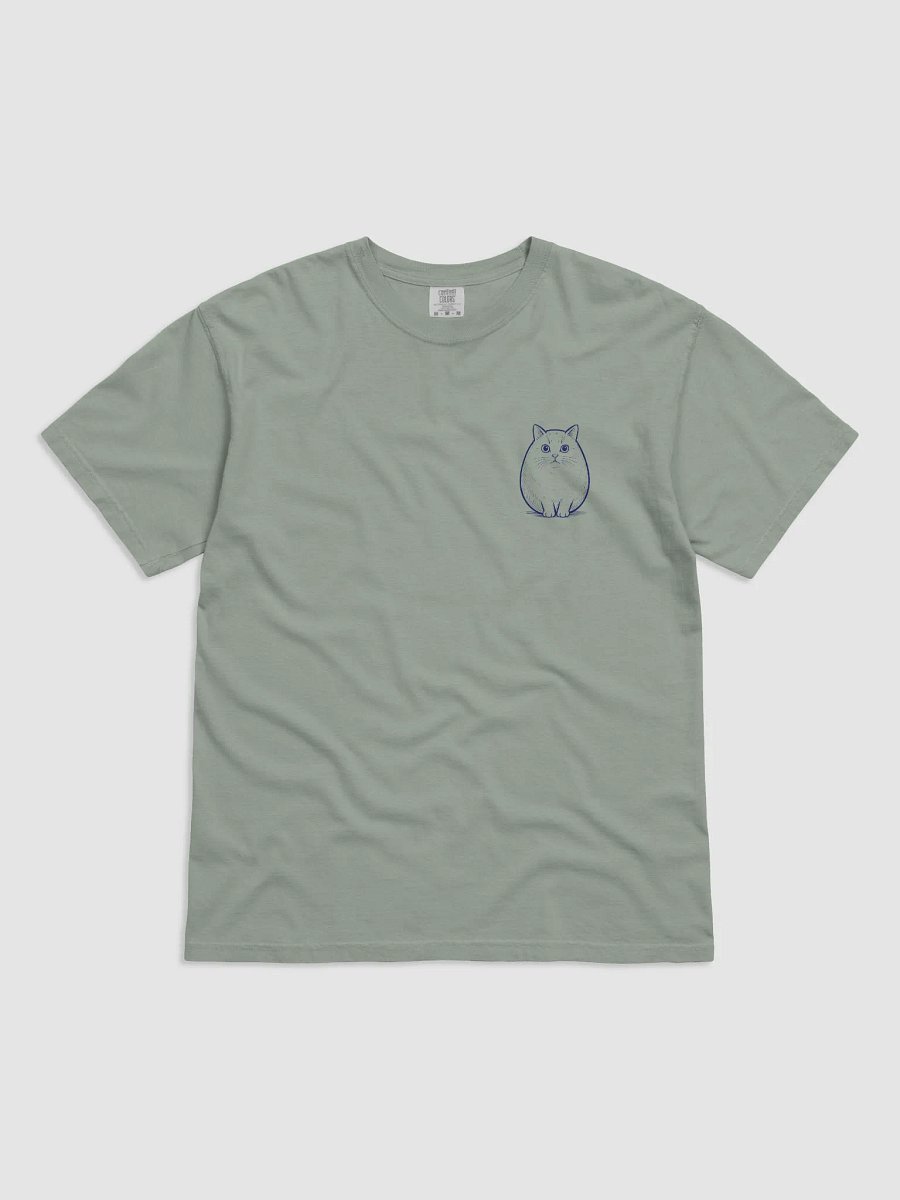 Cat product image (7)