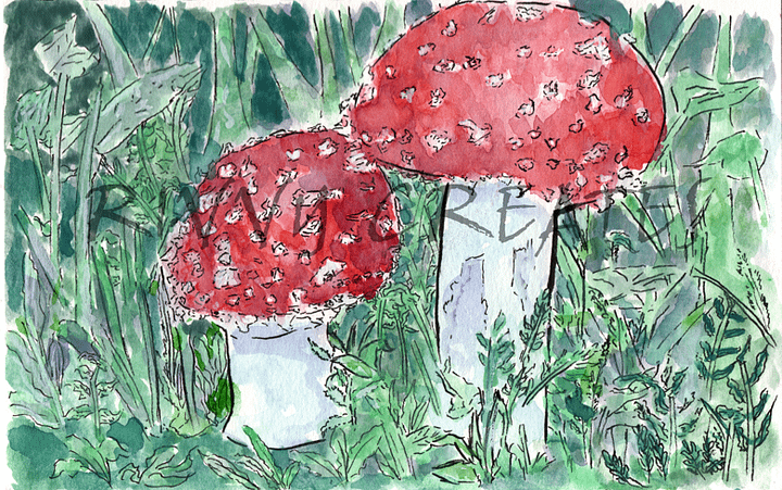Mushroom Species Study Series Painting 1 Digital Download product image (1)