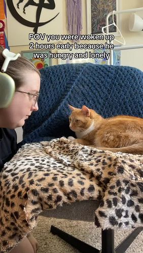 Well Apollo…. It’s true…. #orangecat #pets #cat #catsofinstagram