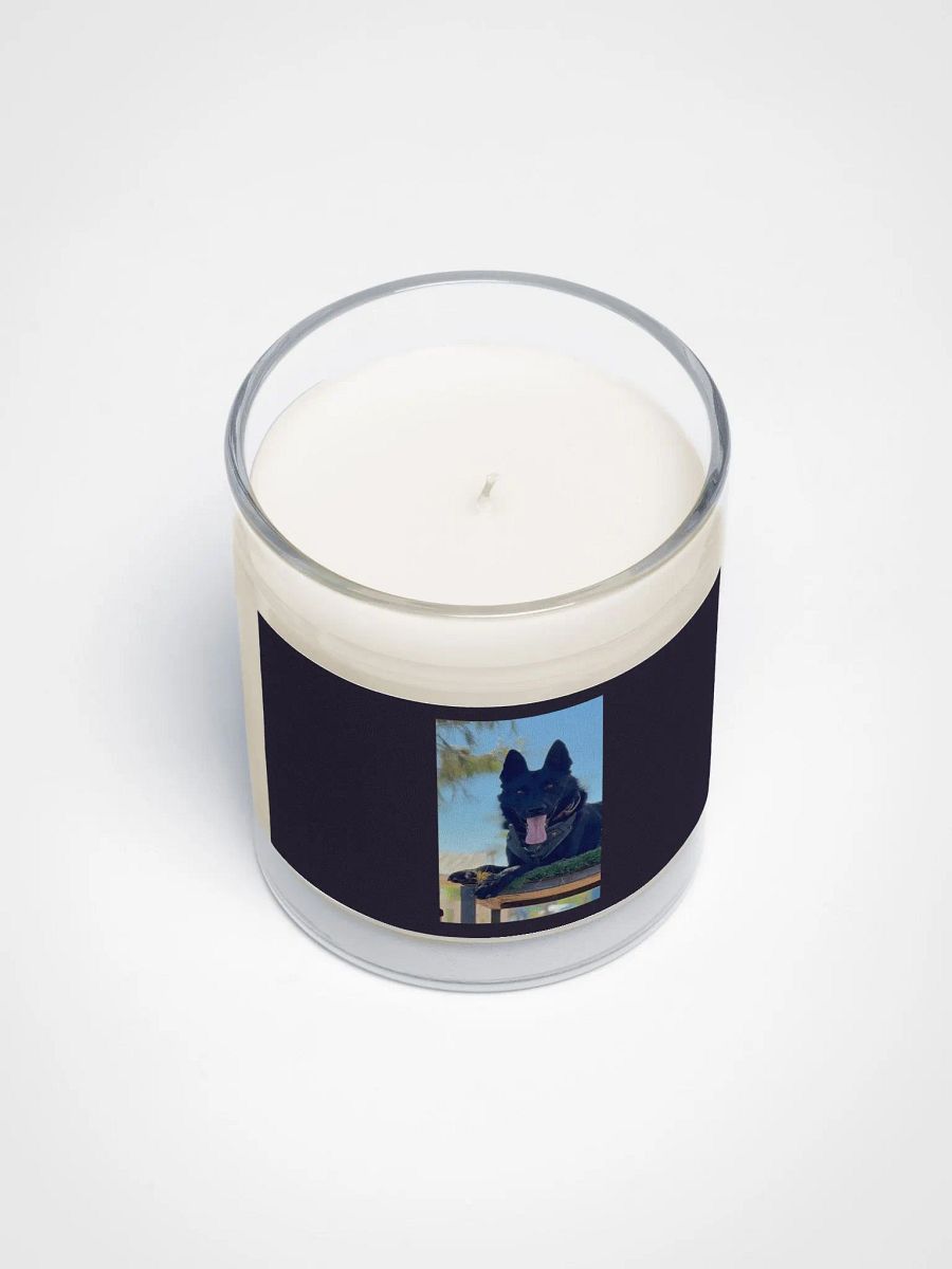Serenity in a Jar product image (3)