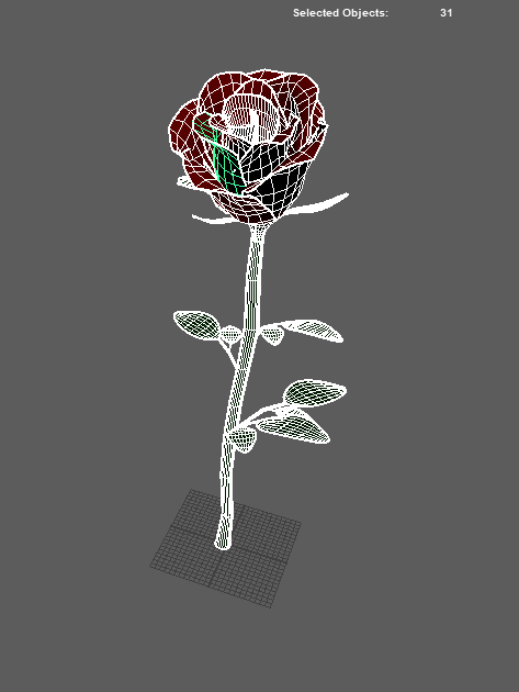Rose product image (2)