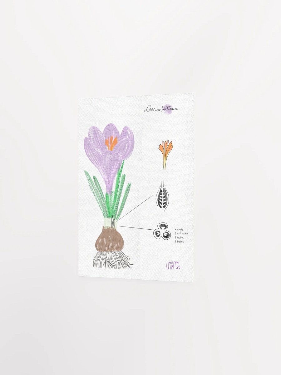 Crochet Vision: Crocus Print product image (4)
