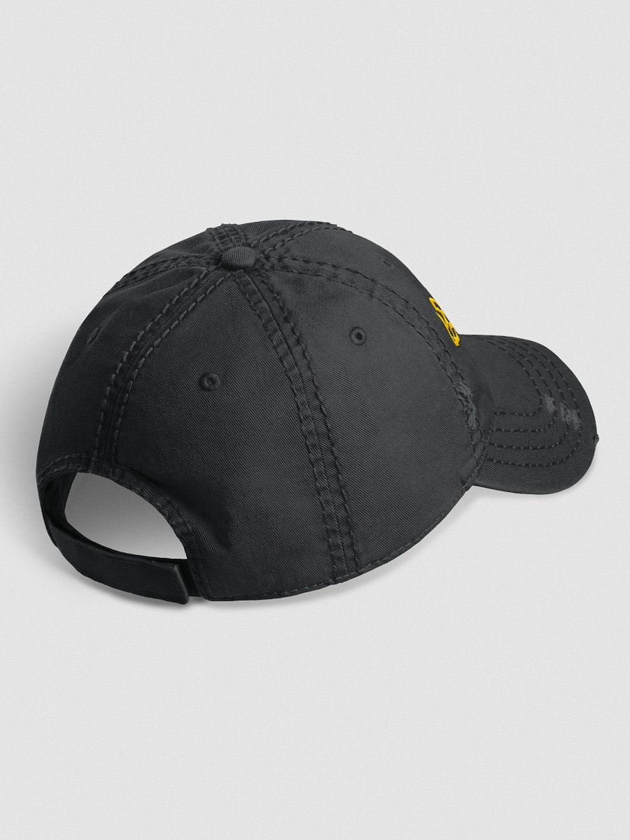 Back Alley Distressed Cap product image (3)